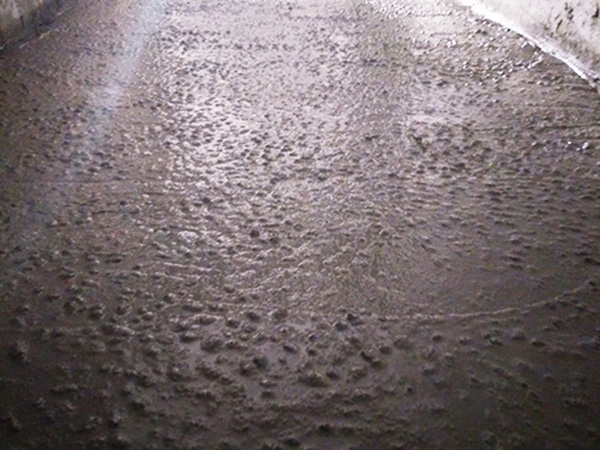 內(nèi)蒙陶?；炷嗤潦┕?>
			<div   id=